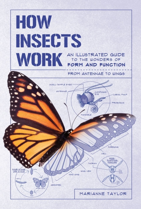 Cover image for book How Insects Work