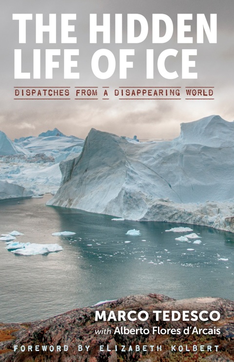 Cover image for book The Hidden Life of Ice