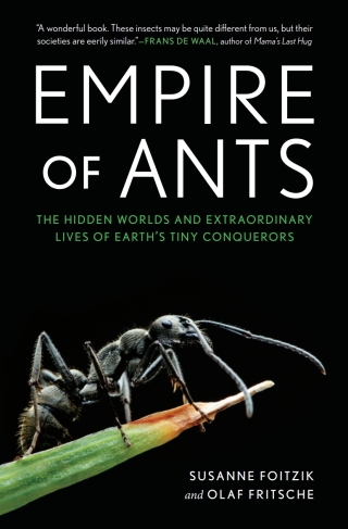 Planet of the Ants