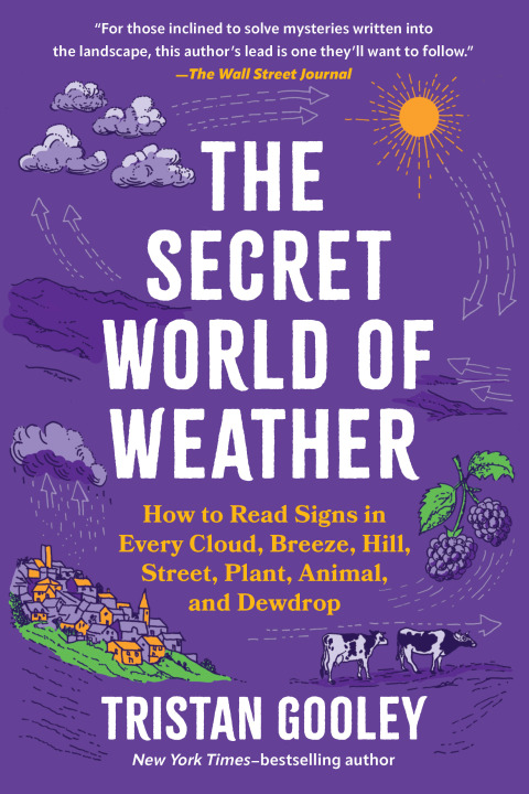 Cover image for book The Secret World of Weather