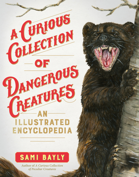 Cover image for book A Curious Collection of Dangerous Creatures