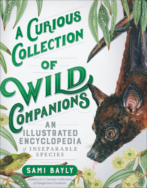 Cover image for book A Curious Collection of Wild Companions