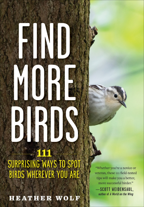 Cover image for book Find More Birds: 111 Surprising Ways to Spot Birds Wherever You Are
