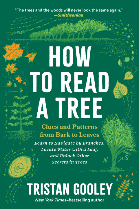 Cover image for book How to Read a Tree: Clues and Patterns from Bark to Leaves (Natural Navigation)