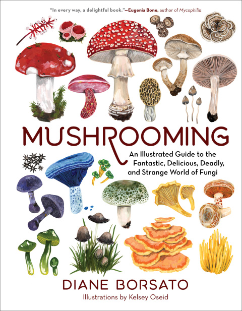 Cover image for book Mushrooming: An Illustrated Guide to the Fantastic, Delicious, Deadly, and Strange World of Fungi