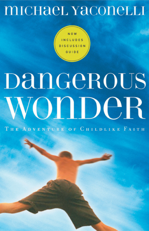 Cover image for book Dangerous Wonder
