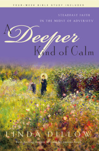 Cover image: A Deeper Kind of Calm 9781600060755