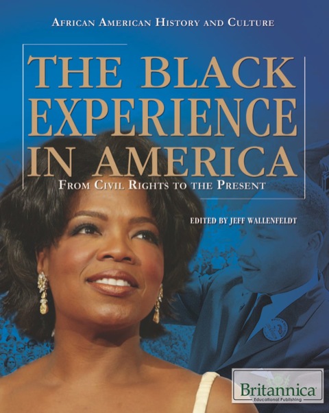 Cover image for book The Black Experience in America