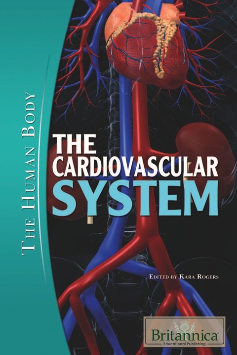 The Cardiovascular System