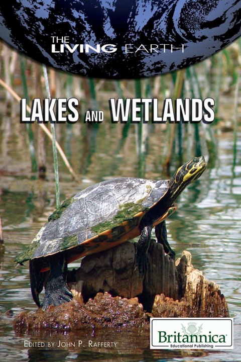 Cover image for book Lakes and Wetlands