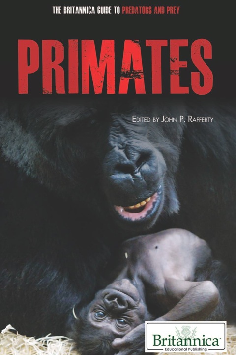Cover image for book Primates