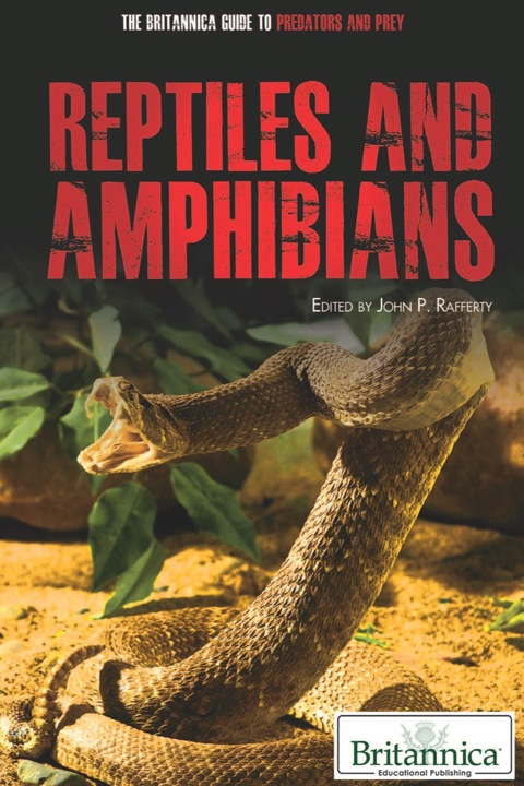 Cover image for book Reptiles and Amphibians