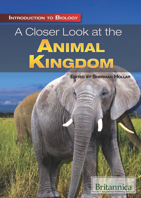 Cover image for book A Closer Look at the Animal Kingdom