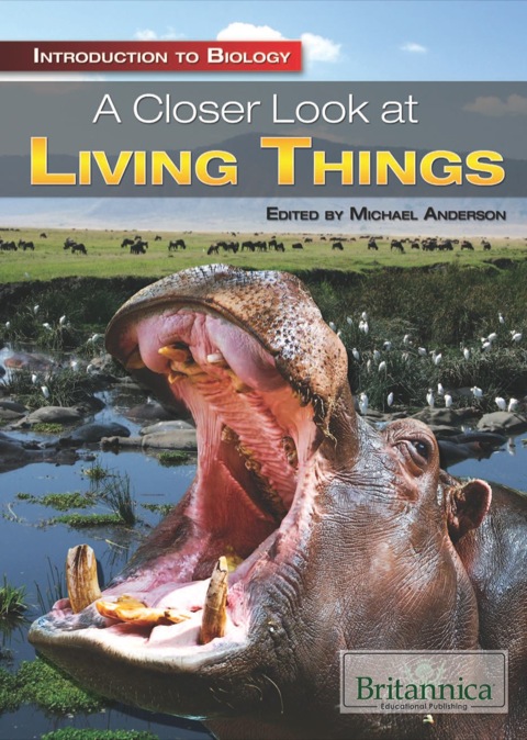 Cover image for book A Closer Look at Living Things