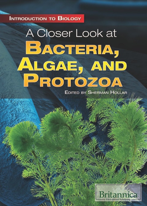 Cover image for book A Closer Look at Bacteria, Algae, and Protozoa