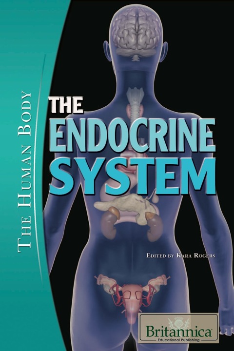 Cover image for book The Endocrine System