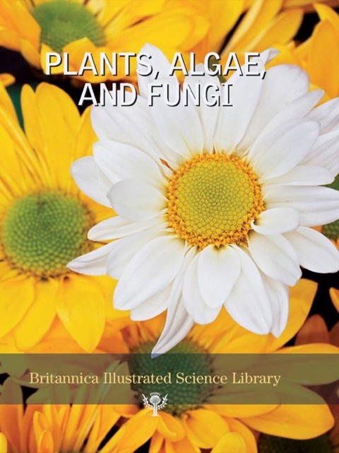 Cover image for book Plants, Algae and Fungi