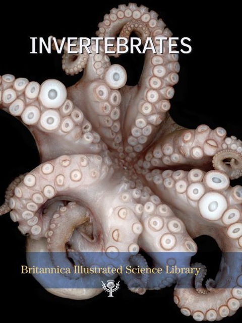 Cover image for book Invertebrates