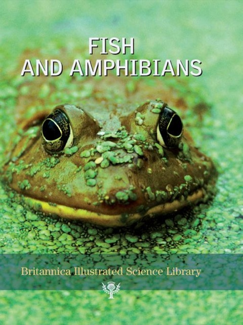 Cover image for book Fish and Amphibians