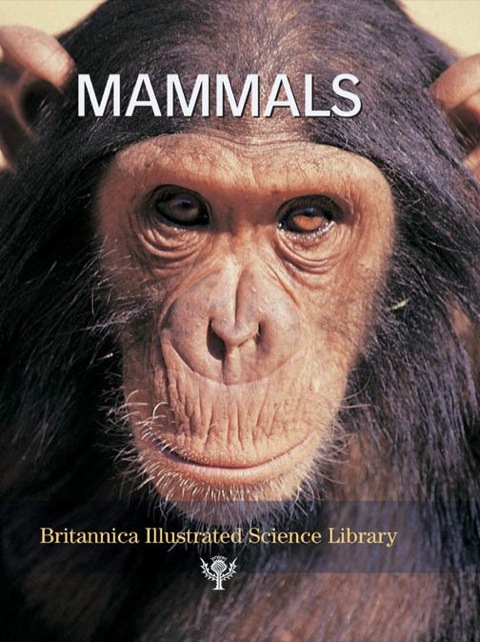 Cover image for book Mammals