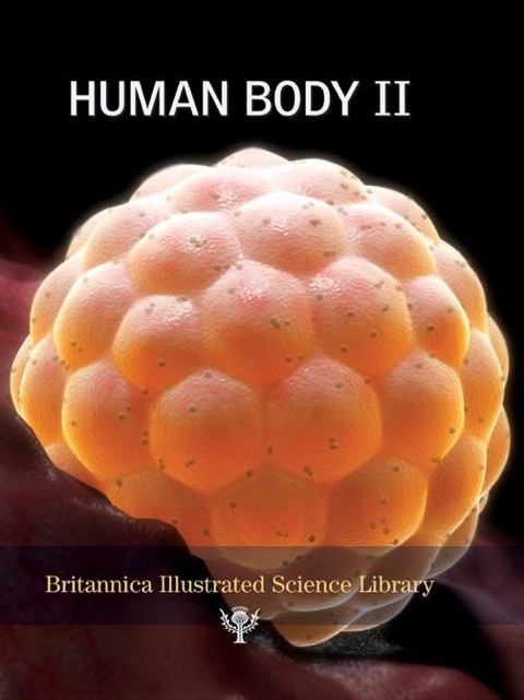 Cover image for book Human Body II