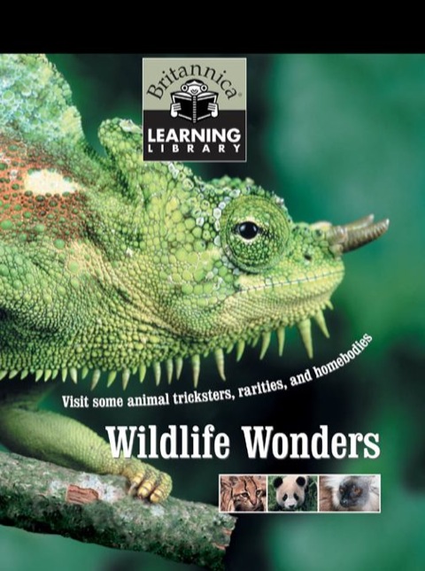Cover image for book Wildlife Wonders