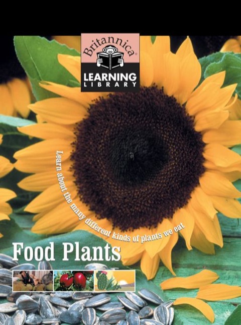 Cover image for book Food Plants