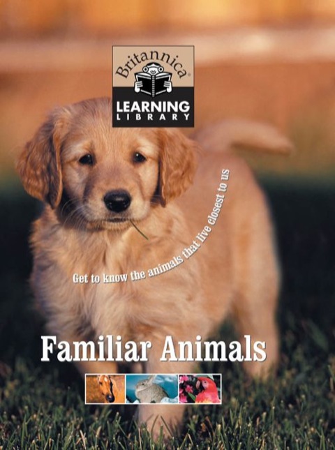 Cover image for book Familiar Animals