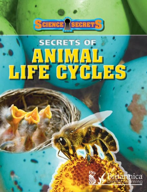 Cover image for book Secrets Of Animal Life Cycles