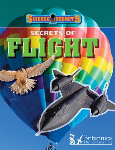 Cover image for book Secrets of Flight
