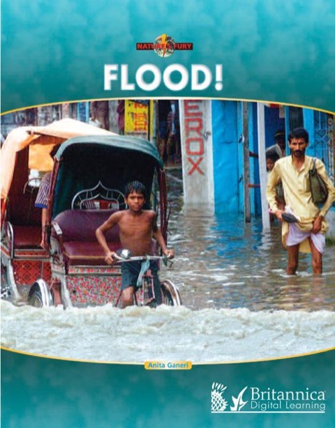 Cover image for book Flood!