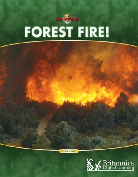 Cover image for book Forest Fire!