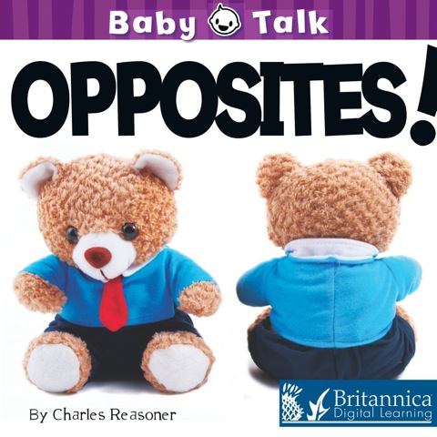 Cover image for book Opposites!