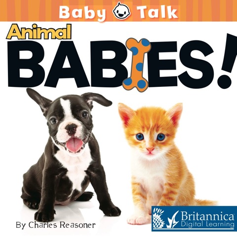 Cover image for book Animal Babies!