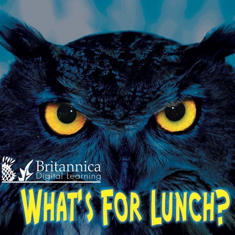 Cover image for book What's for Lunch?