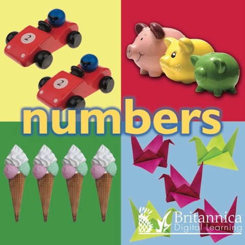 Cover image for book Numbers