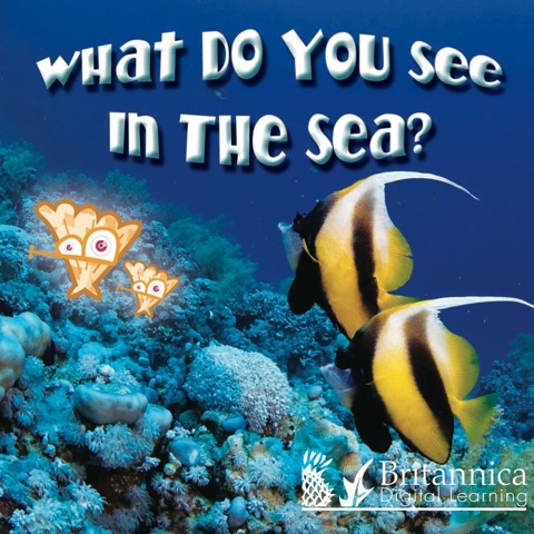 Cover image for book What Do You See in the Sea?