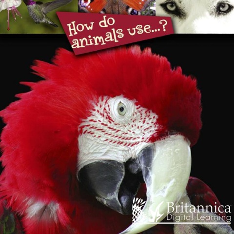 Cover image for book How Do Animals Use…?