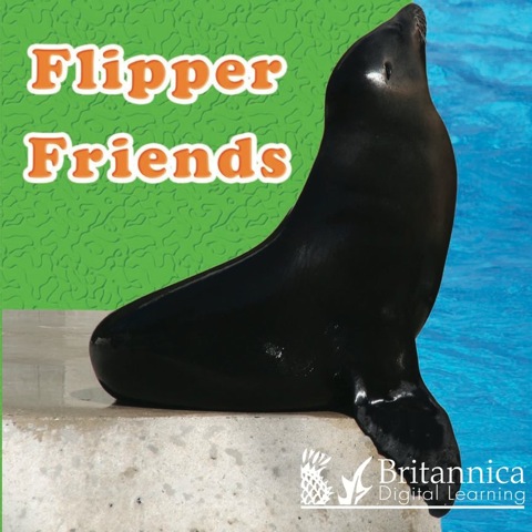 Cover image for book Flipper Friends