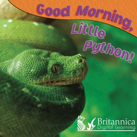 Cover image for book Good Morning, Little Python!
