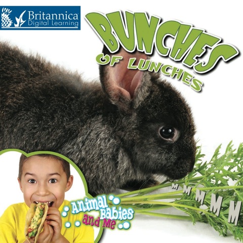 Cover image for book Bunches of Lunches