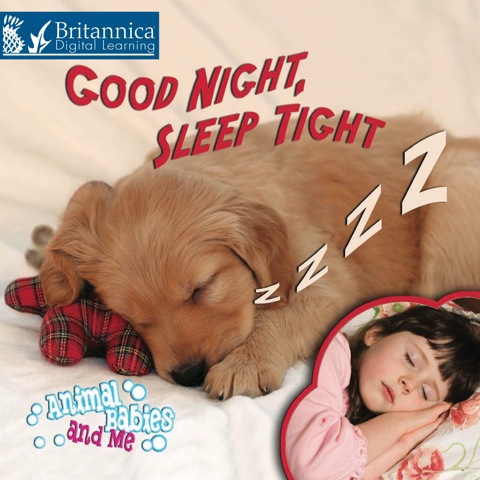 Cover image for book Good Night, Sleep Tight