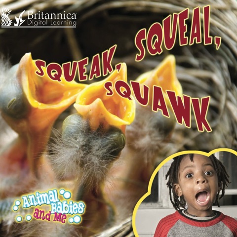 Cover image for book Squeak, Squeal,  Squawk