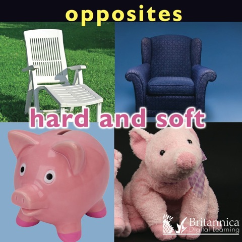 Cover image for book Opposites: Hard and Soft