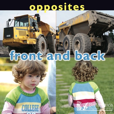 Cover image for book Opposites: Front and Back
