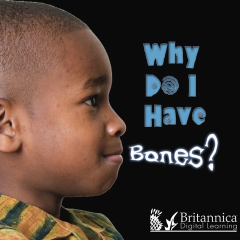Cover image for book Why Do I Have Bones?