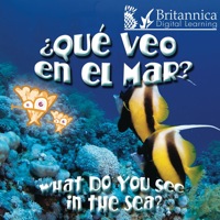 صورة الغلاف: ¿Qué veo en el mar? (What Do You See, in the Sea?) 1st edition 9781604725490