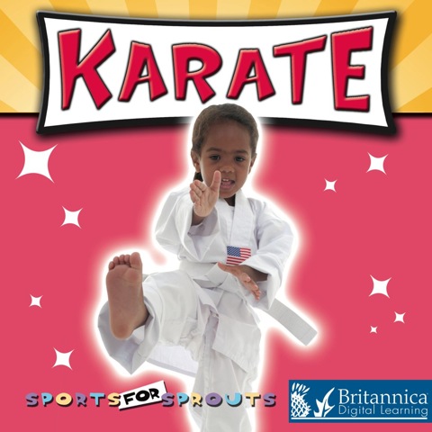 Cover image for book Karate