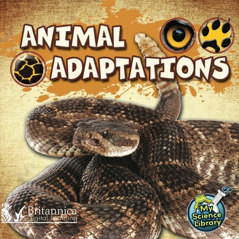 Cover image for book Animal Adaptations