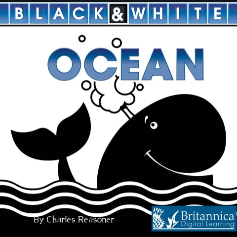 Cover image for book Ocean